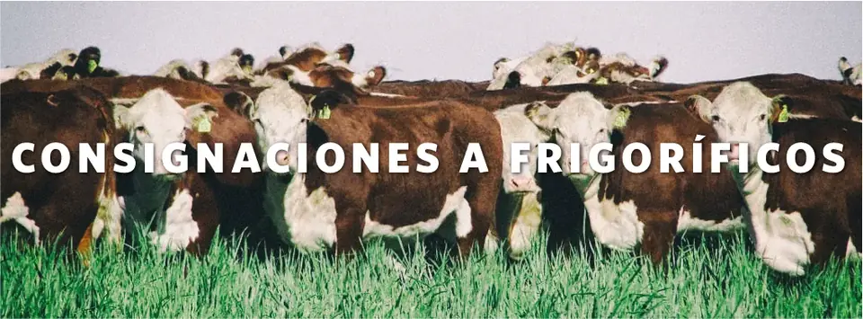 Consignaciones a frigoríficos