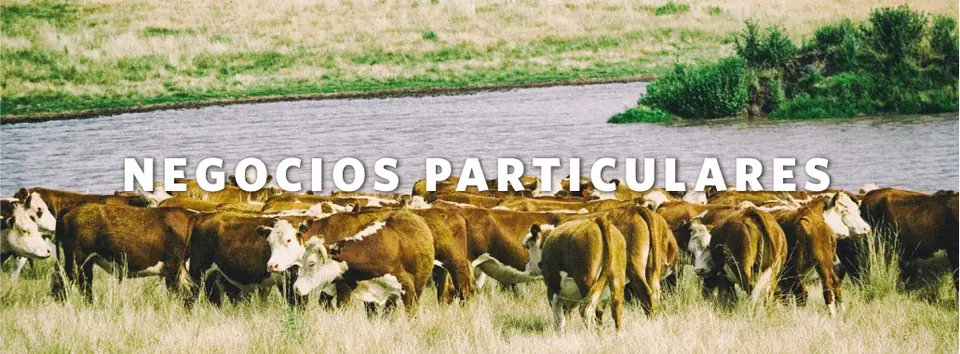 Negocios particulares
