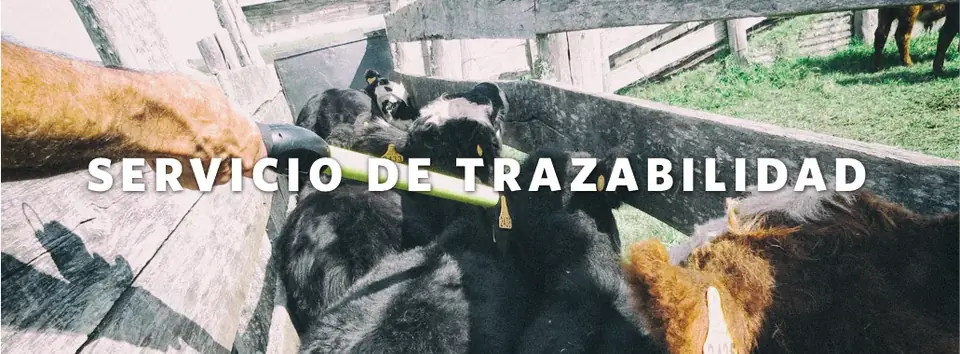 Servicio de trazabilidad